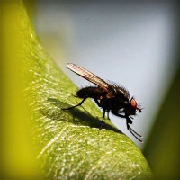 /album/cursuri-achizitii-publice/photolia-a04-jpg/