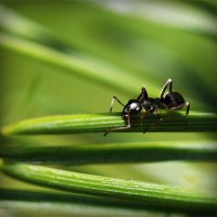 /album/cursuri-achizitii-publice/photolia-a05-jpg/