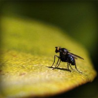 /album/cursuri-achizitii-publice/photolia-a07-jpg/